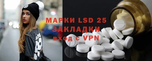 мдпв Вязьма