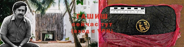 мдпв Вязьма