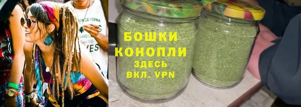 мдпв Вязьма
