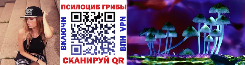 Купить закладки  Демидов  Галлюциногенные грибы Psilocybine cubensis 